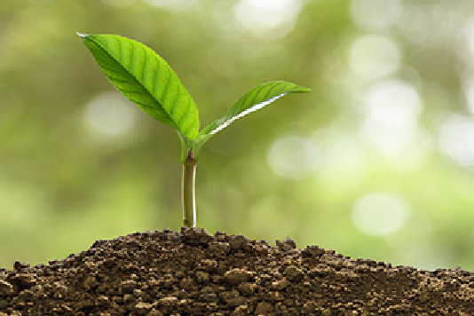 Responsabilità sociale