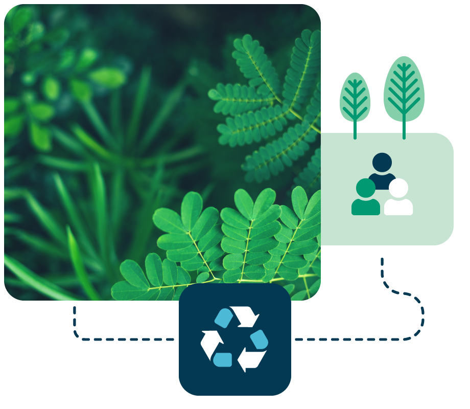 Responsabilità sociale Responsabilità sociale