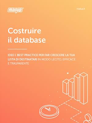 Copertina dell’ebook Costruire il database Copertina dell'ebook Costruire il database