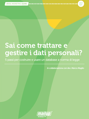 Copertina dell'ebook Sai trattare i dati personali e gestire la privacy?